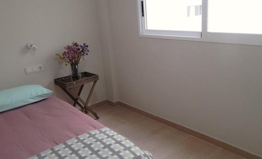 Apartamentos La Rosita