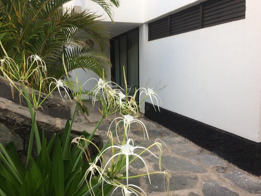 Apartamentos La Siesta