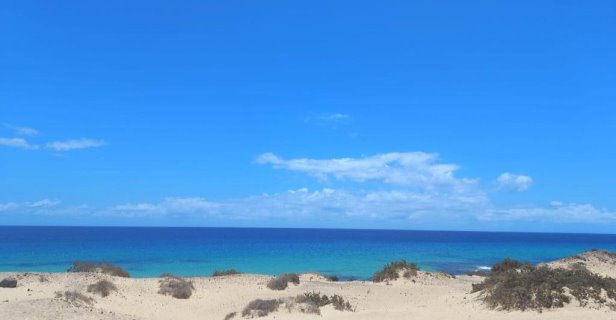 Apartamentos Lacasa Cotillo