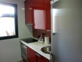Apartamentos Latina Rastro