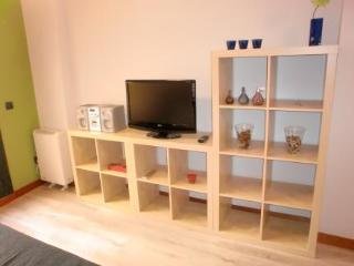 Apartamentos Latina Rastro