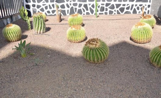 Apartamentos Los Cactus