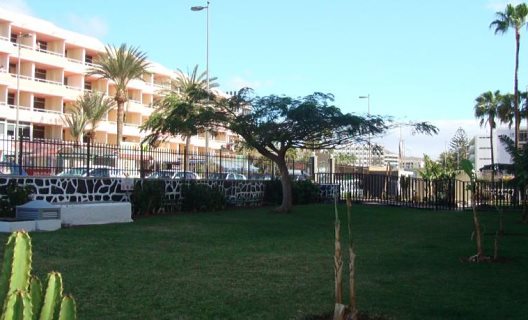 Apartamentos Los Cactus