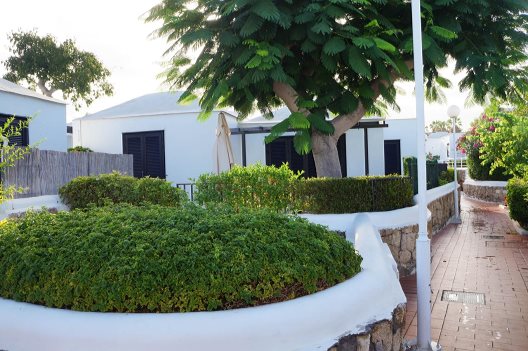 Apartamentos Los Cardones
