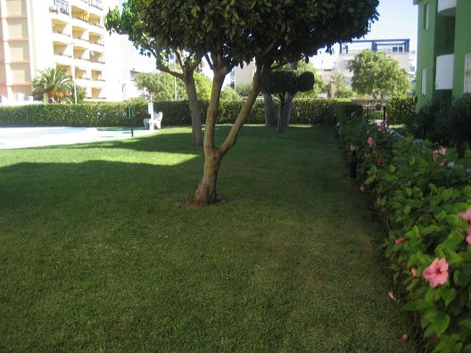 Apartamentos Los Juncos