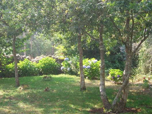 Apartamentos Maritimo