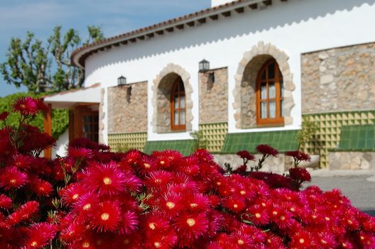 Apartamentos Mas Boronat