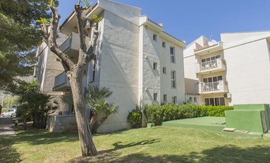 Apartamentos Massol