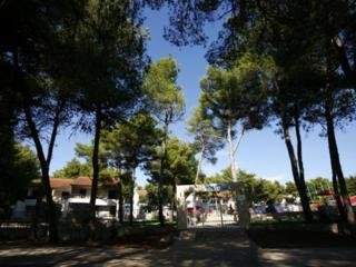 Apartamentos Matilde