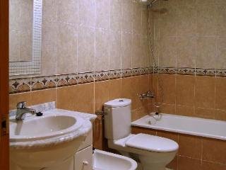 Apartamentos Milenio