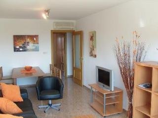 Apartamentos Milenio