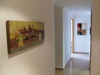 Apartamentos Milenio