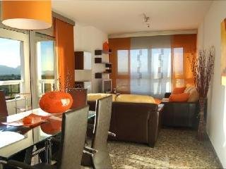 Apartamentos Milenio