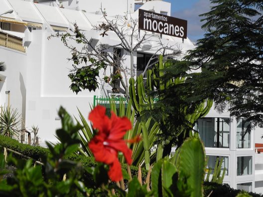 Apartamentos Mocanes