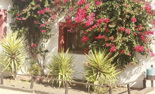 Apartamentos Molino El Mastral