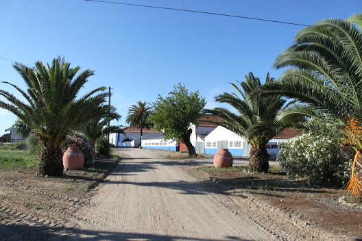 Apartamentos Monte Da Serralheira