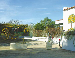 Apartamentos Monte Dos Avós Village