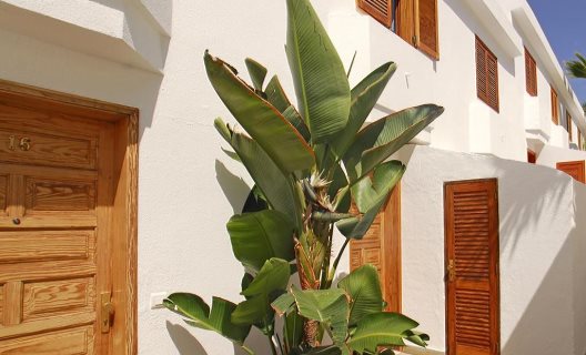 Apartamentos Montecarlo