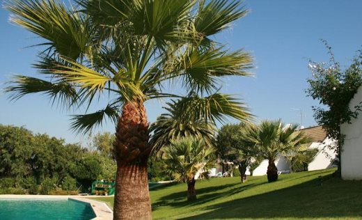 Apartamentos Moura Golf Village