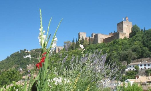 Apartamentos Muralla Ziri