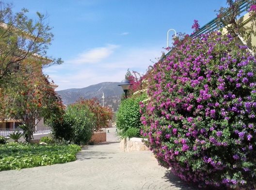 Apartamentos Nerea Residencial