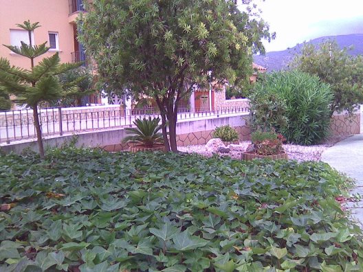 Apartamentos Nerea Residencial