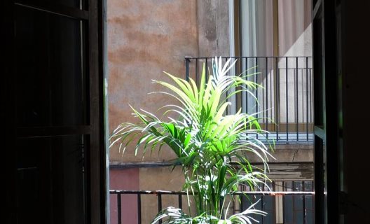 Apartamentos No 5 The Streets