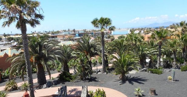Apartamentos Oasis Royal