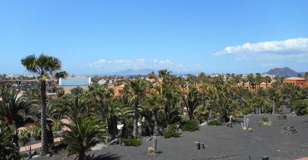 Apartamentos Oasis Royal