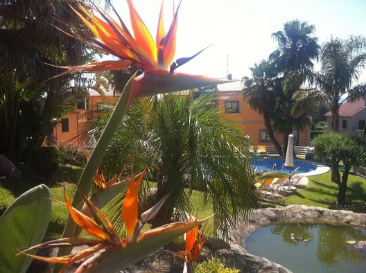 Apartamentos Oca Atlántico