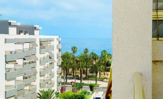 Apartamentos Onagrup Club Novelty