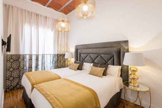 Apartamentos Oro Del Darro Suites