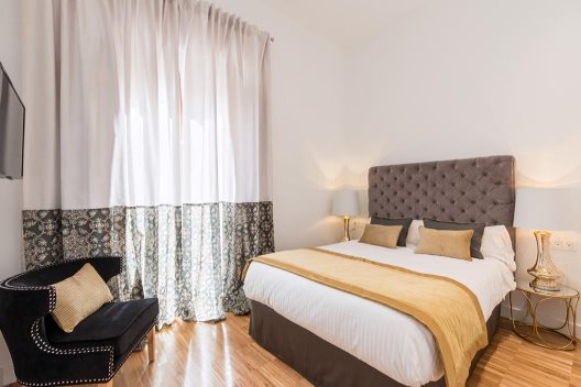 Apartamentos Oro Del Darro Suites