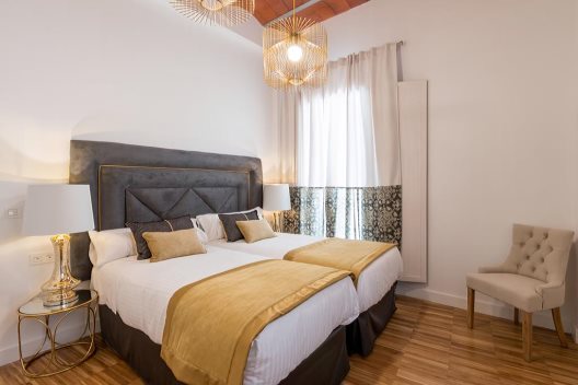 Apartamentos Oro Del Darro Suites