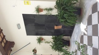 Apartamentos Palacio De Luja