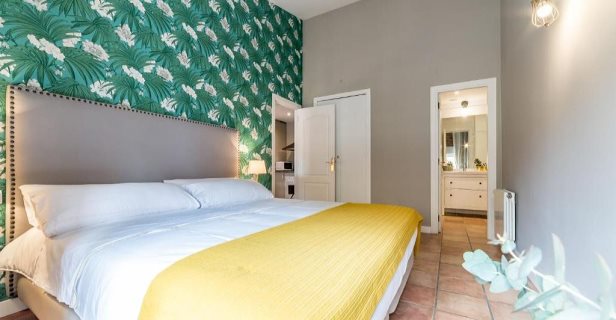 Apartamentos Palacio De Rojas