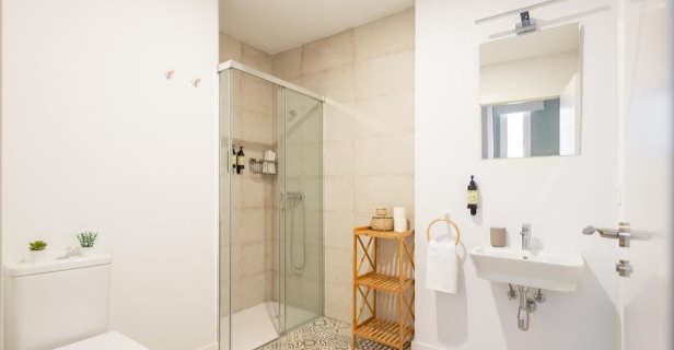 Apartamentos Palacio Dorobe