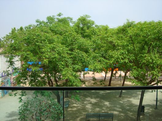 Apartamentos Palamos