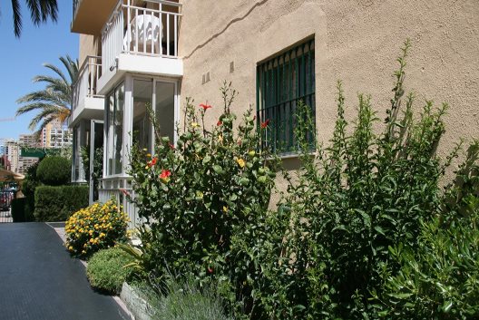 Apartamentos Palm Court