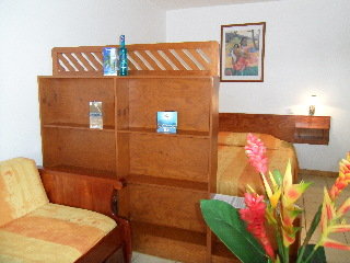 Apartamentos Panoramic