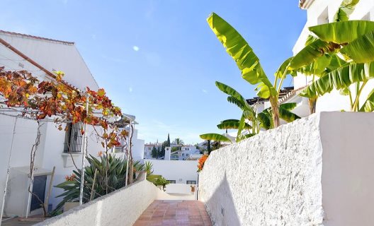 Apartamentos Papillon