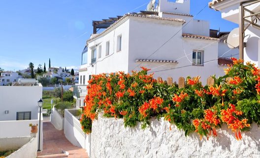 Apartamentos Papillon