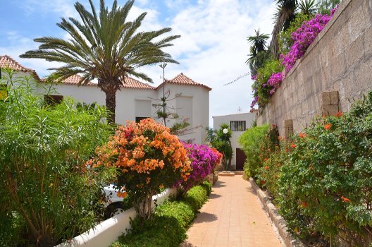 Apartamentos Paraiso Royal