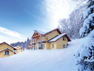 Apartamentos Park And Suite Village Evian-lugrin