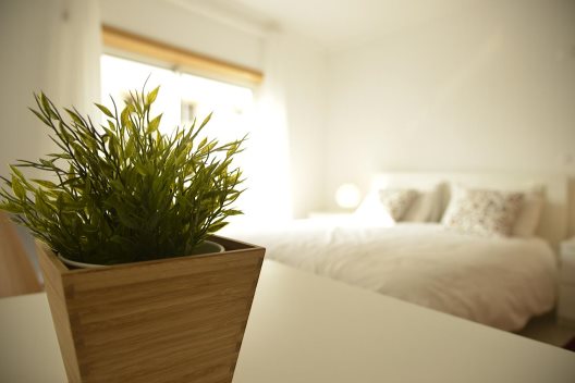 Apartamentos Parque Dos Pastores
