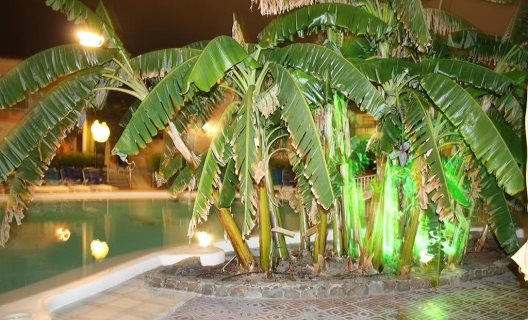 Apartamentos Parque Nogal