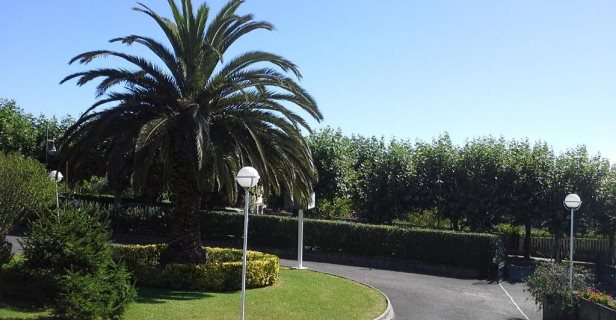 Apartamentos Paseo De San Pedro