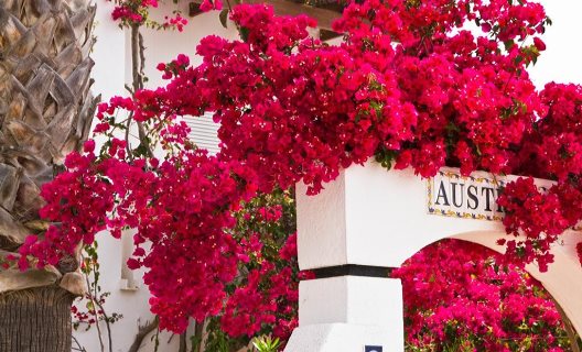 Apartamentos Pierre Vacances Mojacar Playa