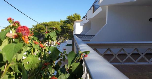Apartamentos Piscis