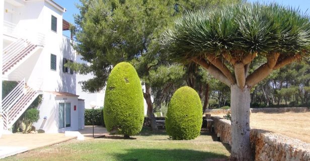 Apartamentos Piscis